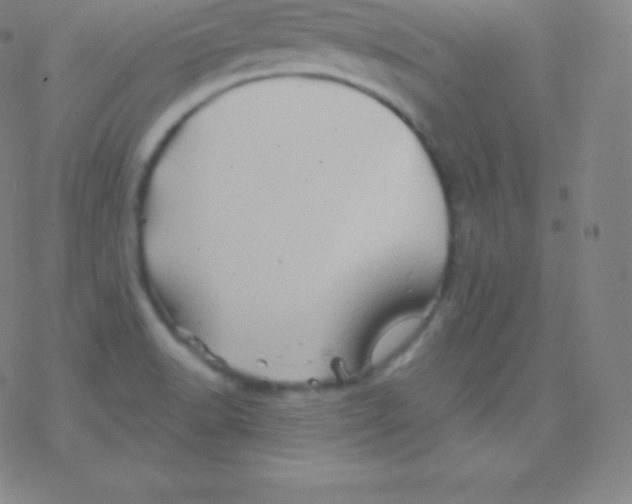 X0000077351518200611101601