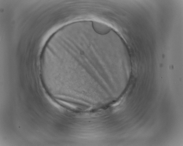 X0000077351519200611101601