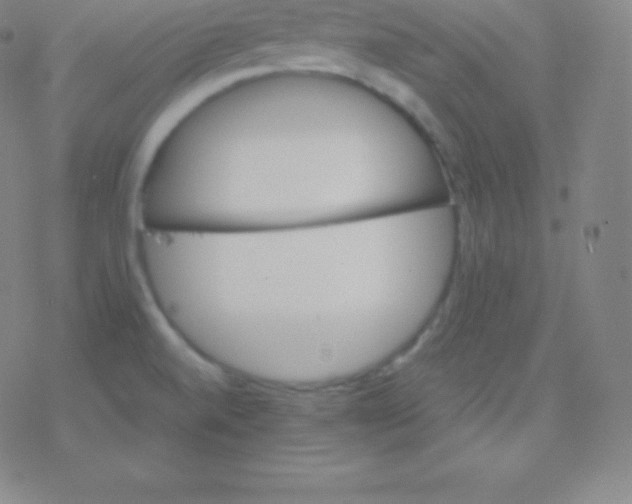 X0000077351520200611101601