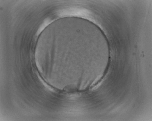 X0000077351521200611101601