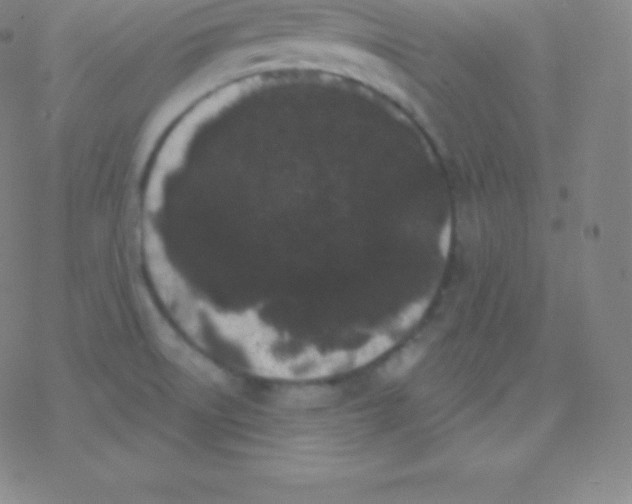 X0000077351522200611101601