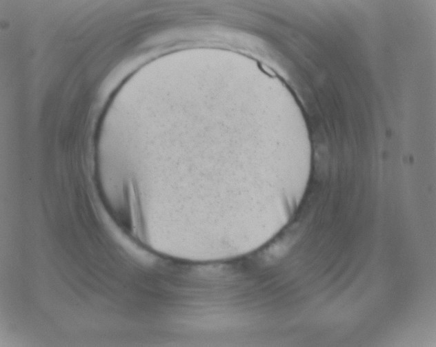 X0000077351523200611101601