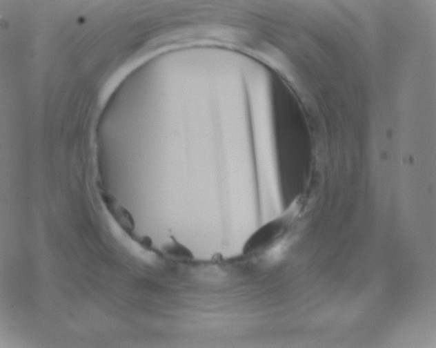 X0000077351524200611101601