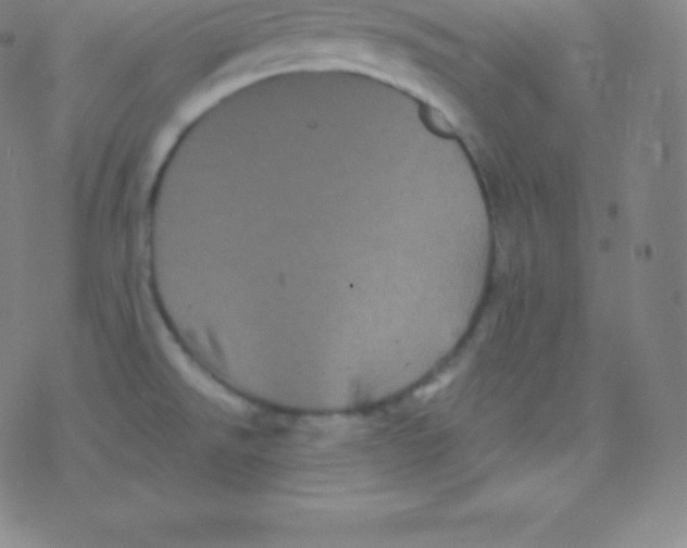 X0000077351526200611101601