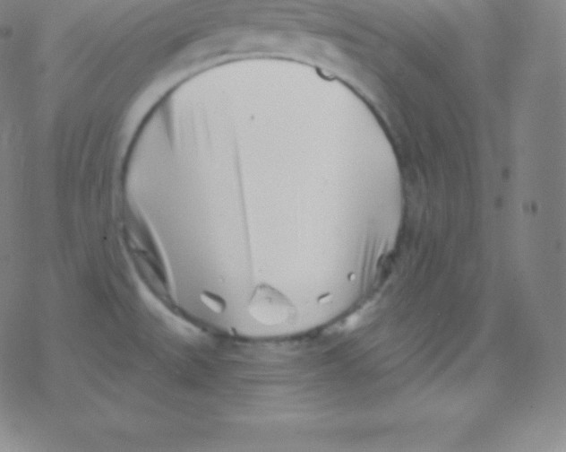 X0000077351527200611101601