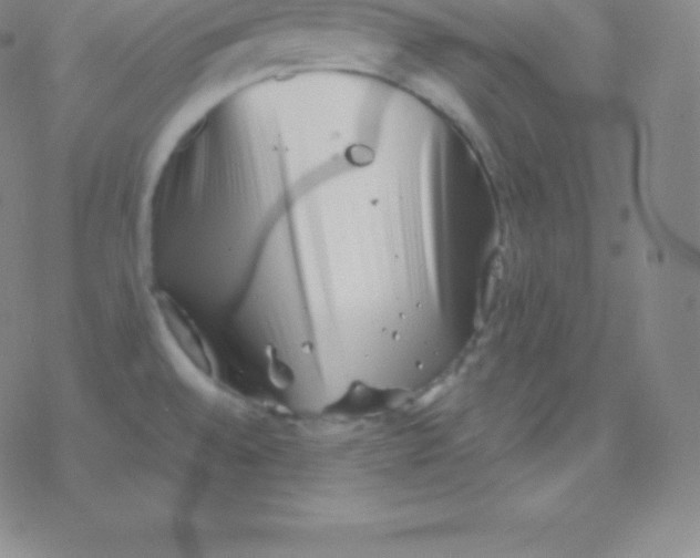 X0000077351528200611101601