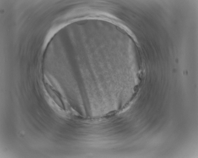 X0000077351530200611101601