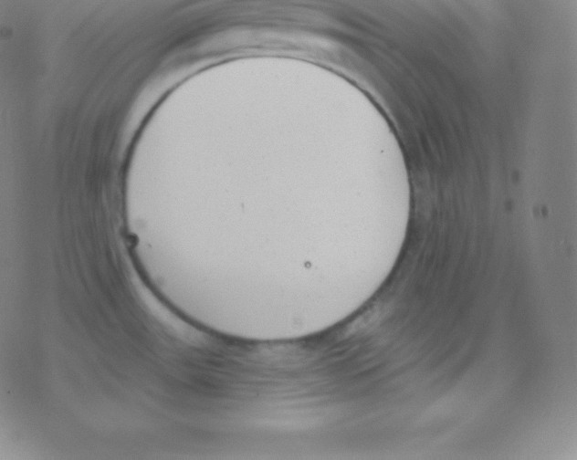 X0000077351531200611101601