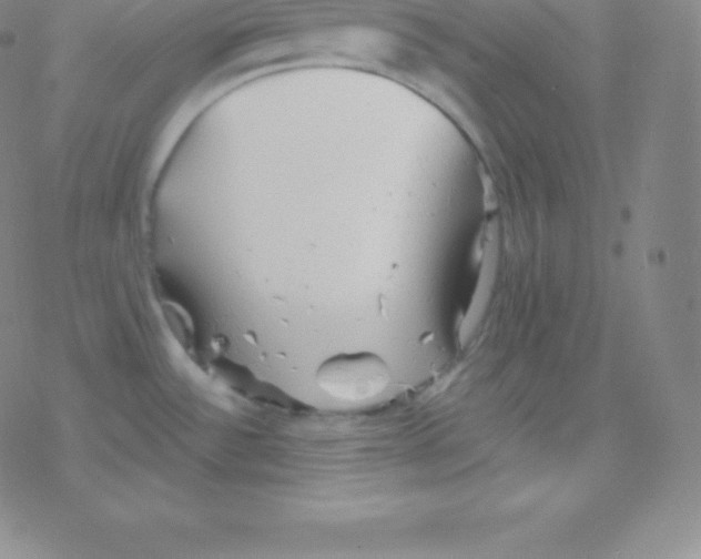 X0000077351532200611101601