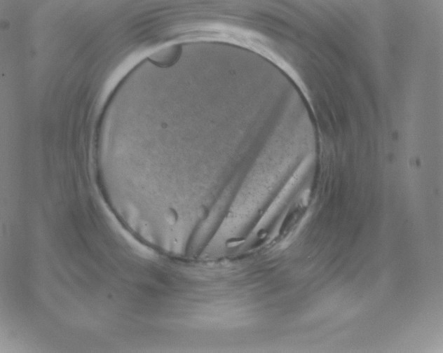 X0000077351533200611101601