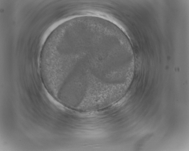 X0000077351535200611101601