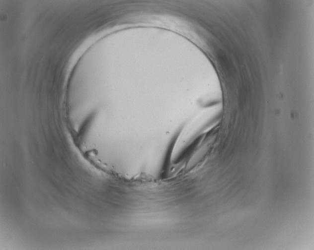 X0000077351536200611101601