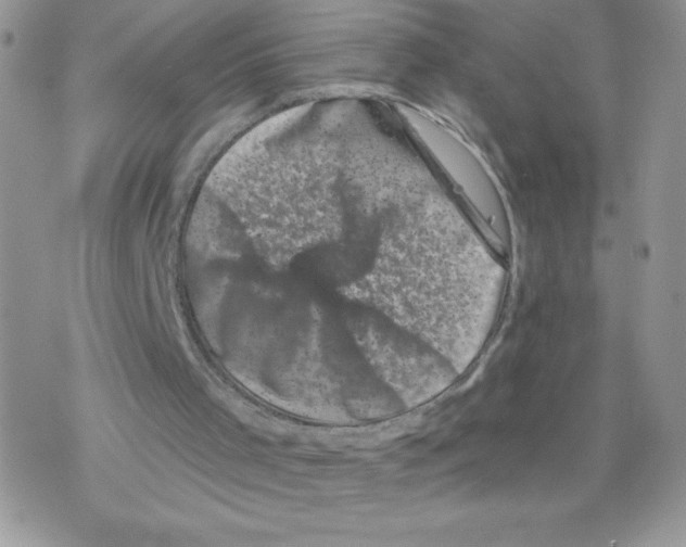 X0000077350001200611171910