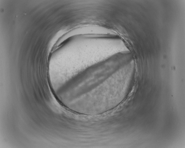 X0000077350003200611171910