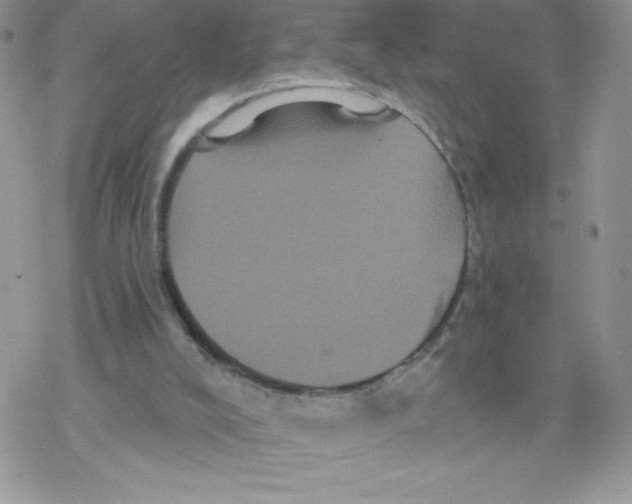 X0000077350008200611171910