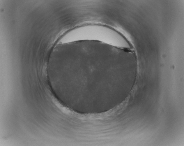 X0000077350009200611171910