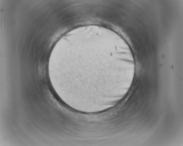 X0000077350010200611171909