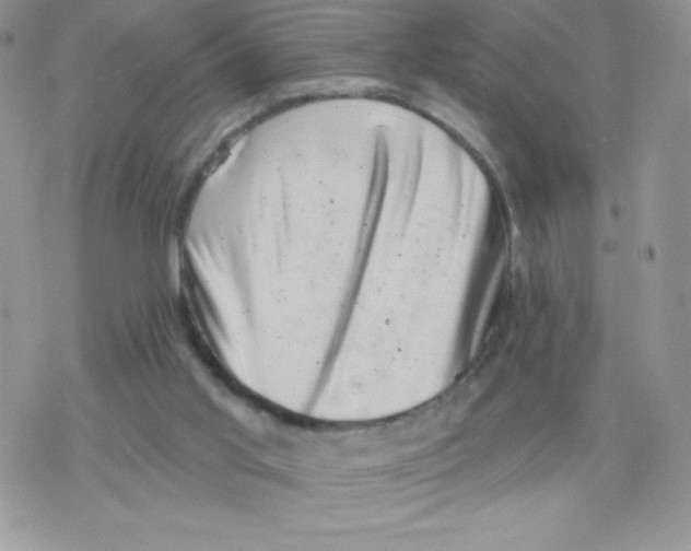 X0000077350013200611171909