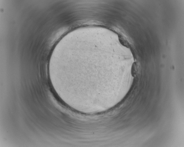 X0000077350014200611171909