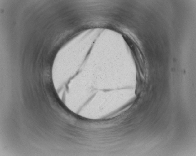 X0000077350017200611171909