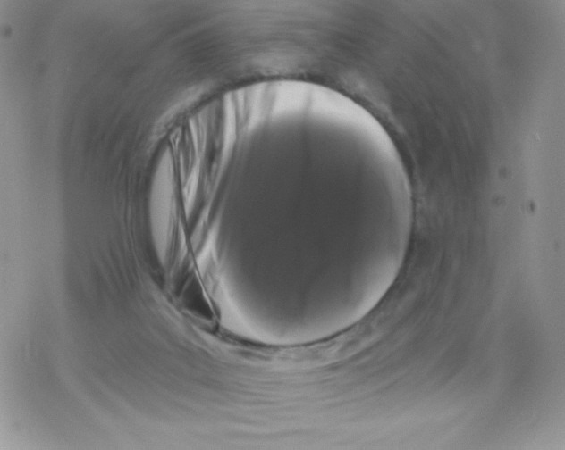 X0000077350019200611171909