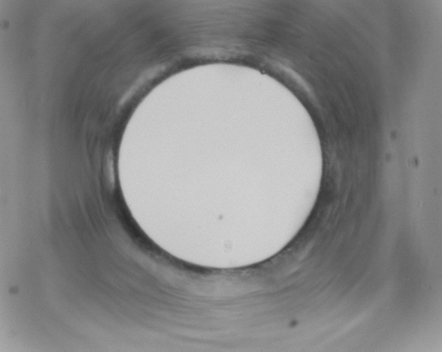 X0000077350020200611171909