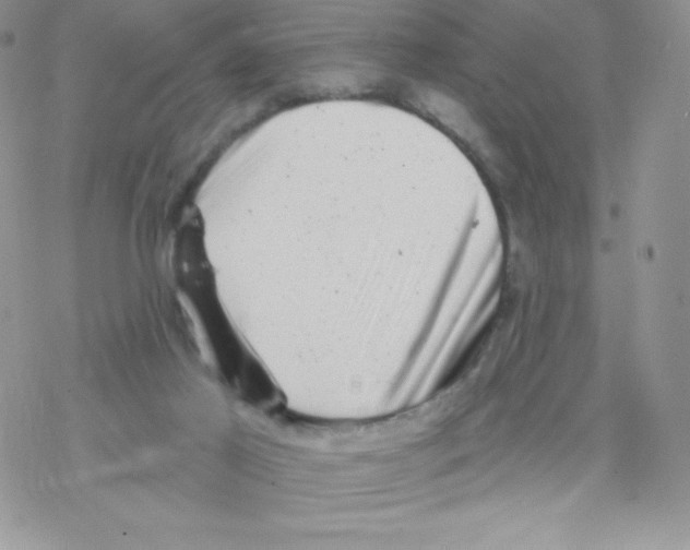 X0000077350021200611171909