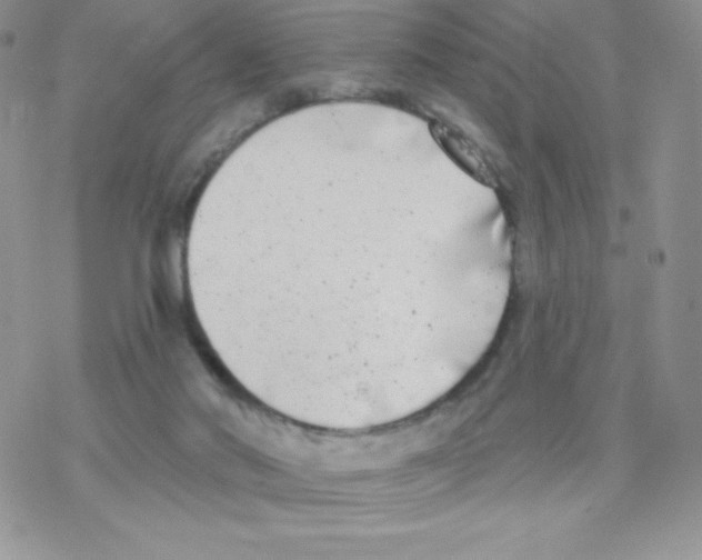 X0000077350022200611171909