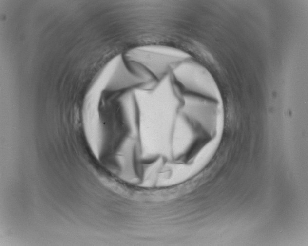 X0000077350025200611171909