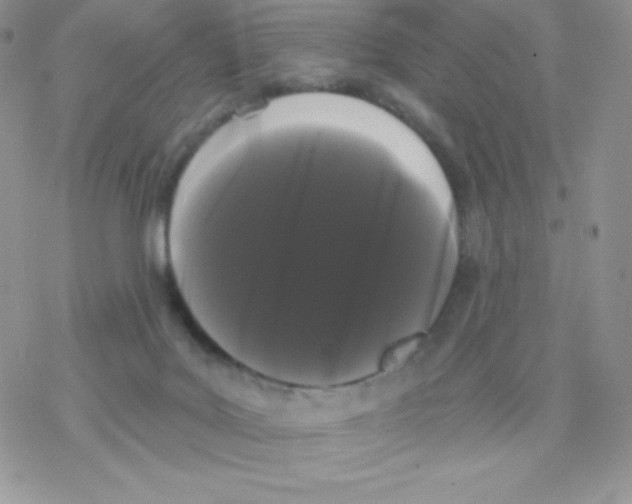 X0000077350027200611171909