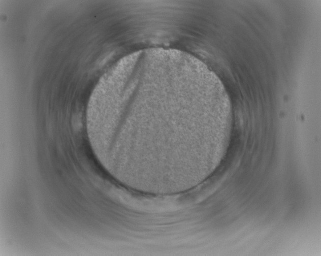 X0000077350032200611171909