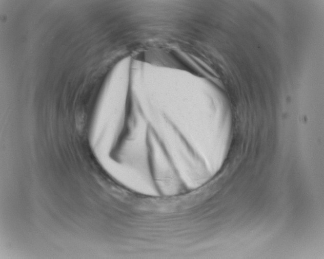 X0000077350033200611171909