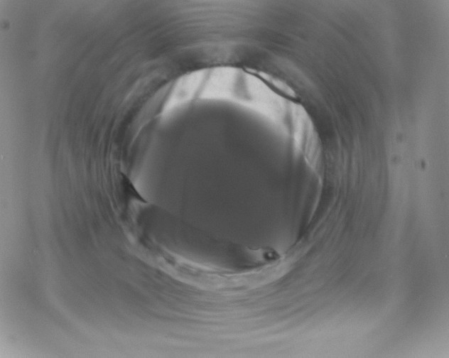 X0000077350035200611171909