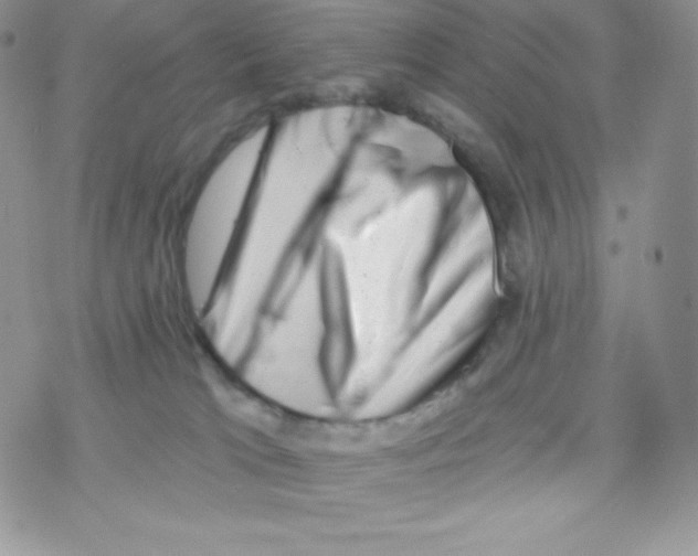 X0000077350037200611171909