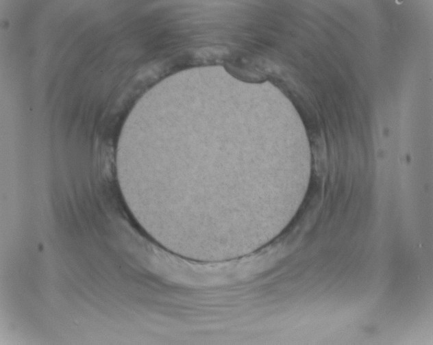 X0000077350038200611171909