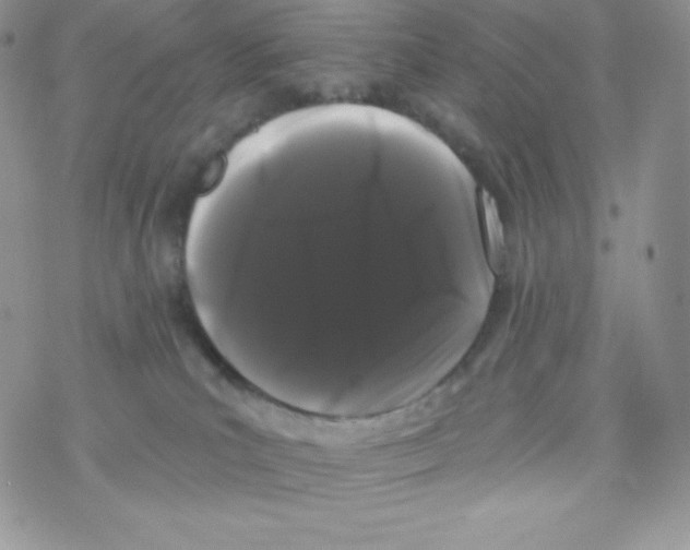 X0000077350039200611171909