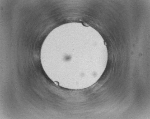 X0000077350040200611171909