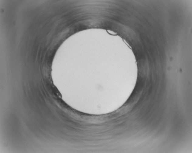 X0000077350044200611171909