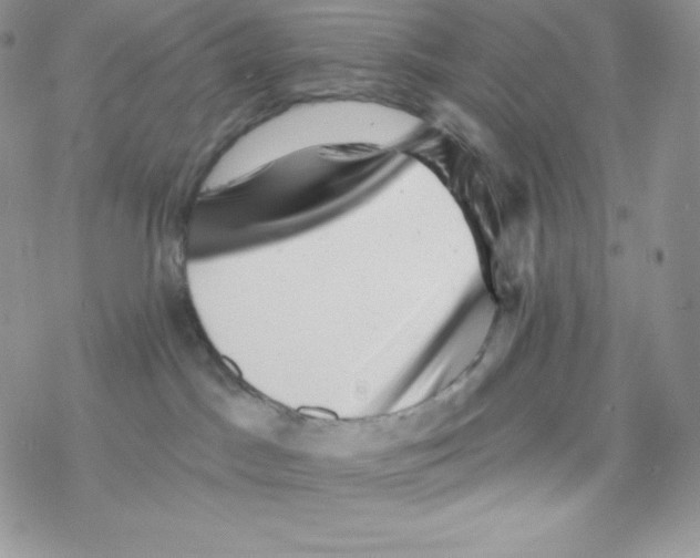 X0000077350045200611171909