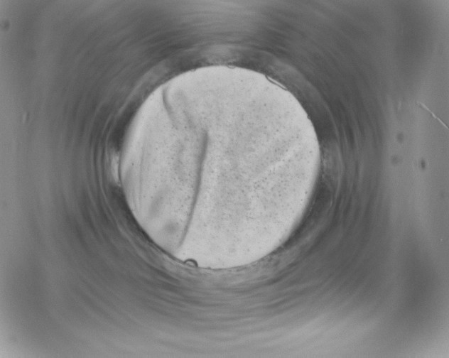 X0000077350046200611171909