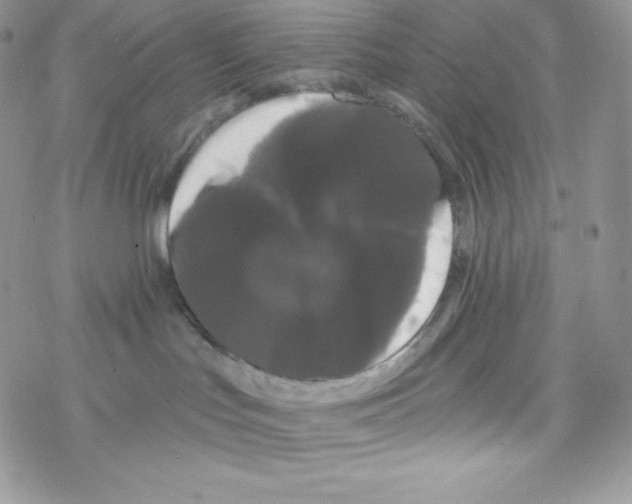 X0000077350047200611171909