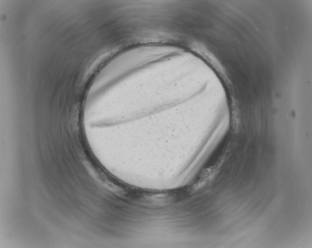 X0000077350058200611171908