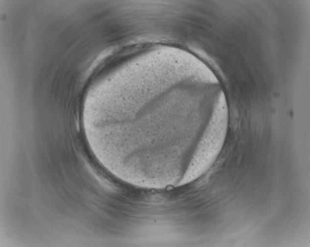 X0000077350062200611171908