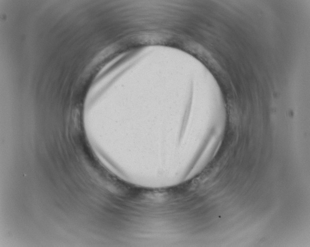 X0000077350071200611171908