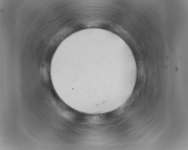 X0000077350074200611171908