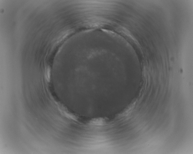 X0000077350076200611171909