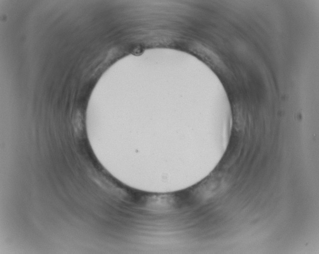 X0000077350077200611171909