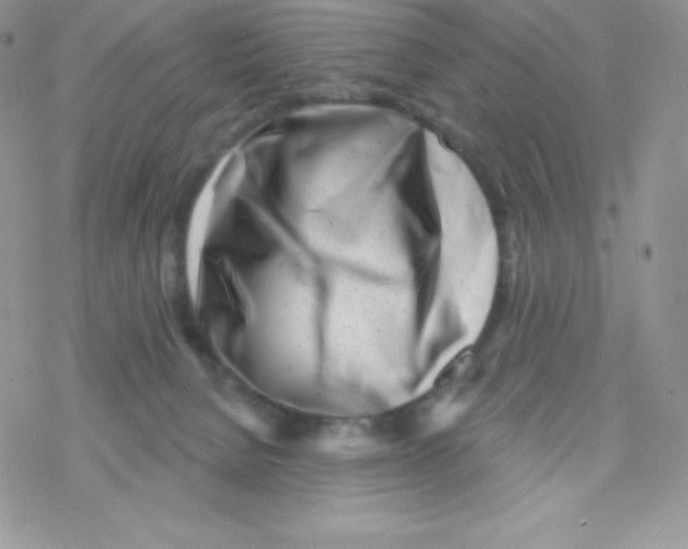 X0000077350080200611171909