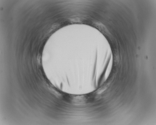 X0000077350081200611171909