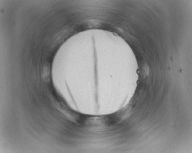 X0000077350082200611171909